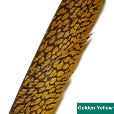 Golden Pheasant Center Tails