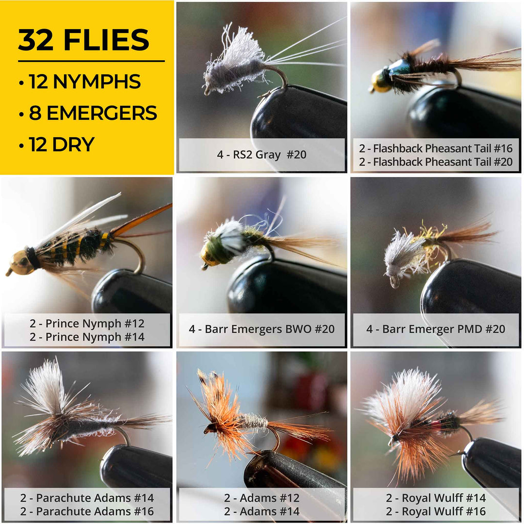 Mayflies Types Mayfly Life Cycle Diagram