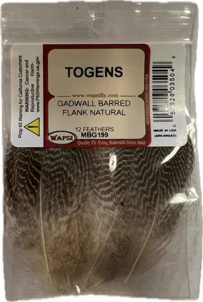 Gadwall Barred Flank