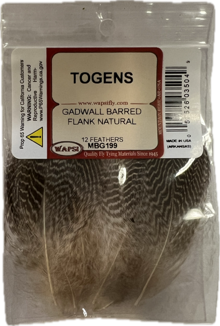 Gadwall Barred Flank