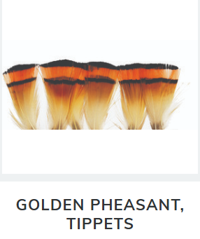 Golden Pheasant Tippets
