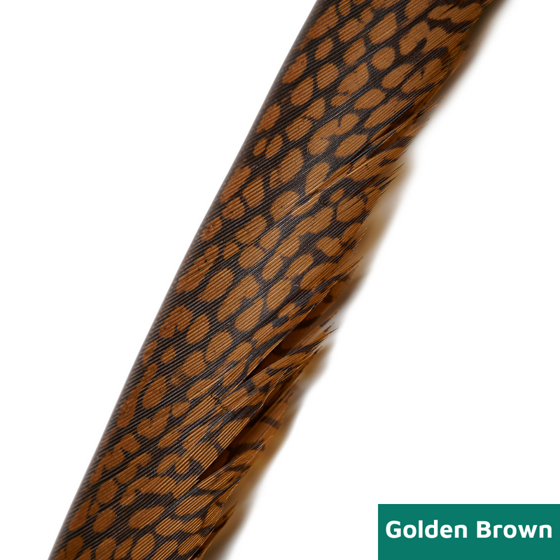 Golden Pheasant Center Tails