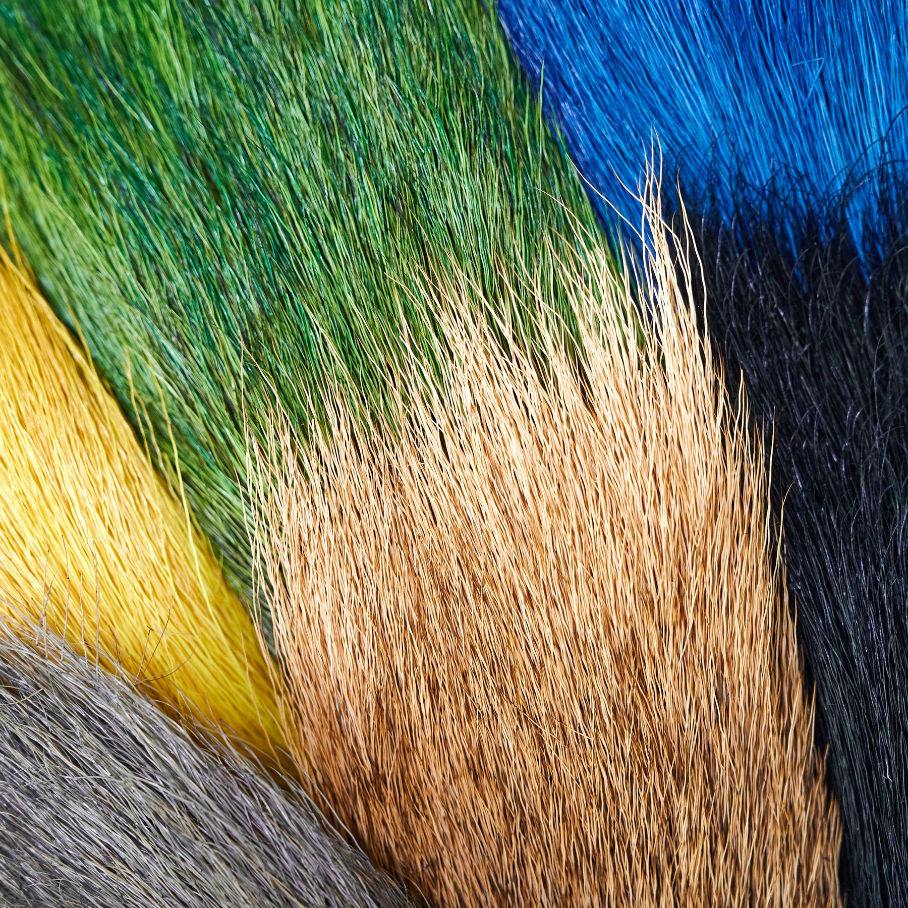 Elk Rump – Togens Fly Shop