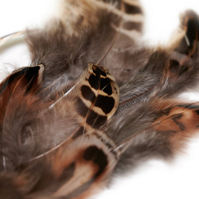 Ringneck Hen Pheasant  - 24 Feathers