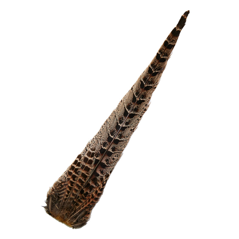 Hen Pheasant Tail Clump