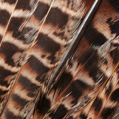 Hen Pheasant Tail Clump