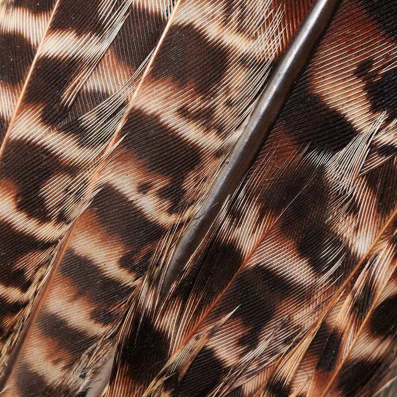 Hen Pheasant Tail Clump