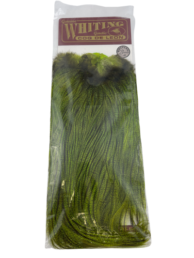 Whiting Coq De Leon Bronze Rooster Saddles