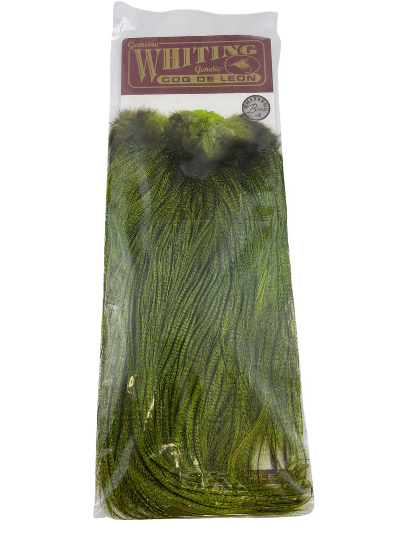 Whiting Coq De Leon Bronze Rooster Saddles