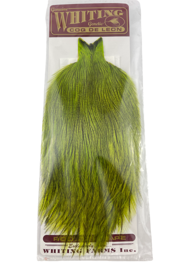 Whiting Coq De Leon Rooster Cape