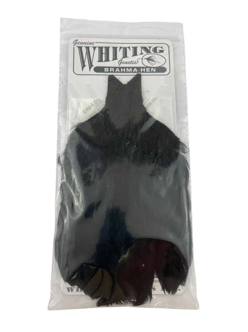 Whiting Brahma Hen Capes