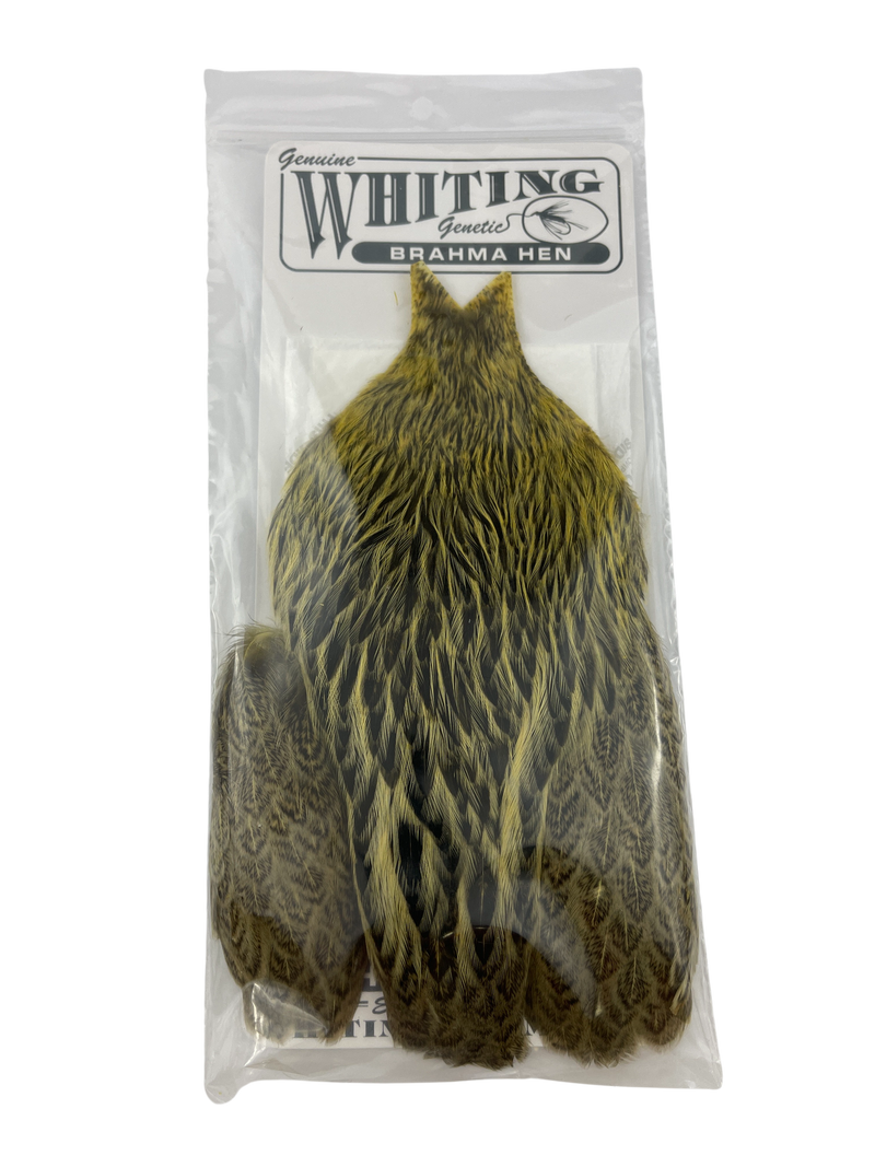Whiting Brahma Hen Capes