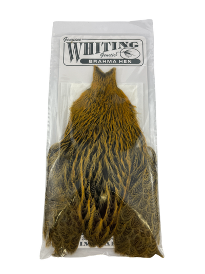 Whiting Brahma Hen Capes