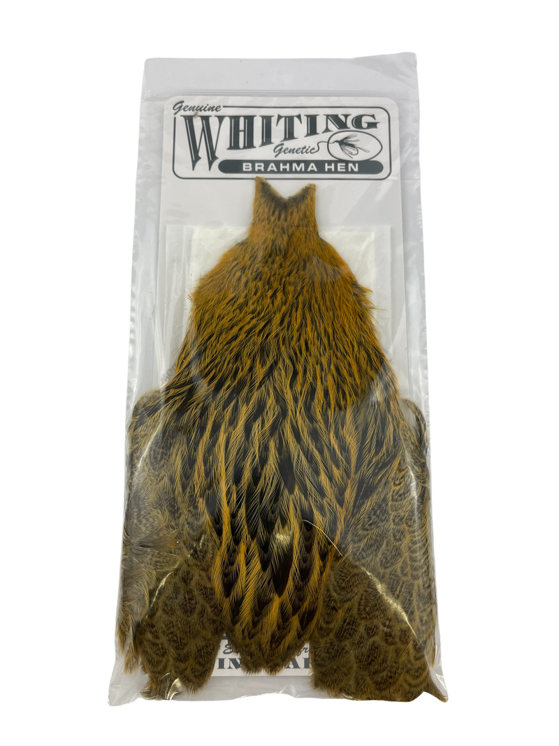 Whiting Brahma Hen Capes