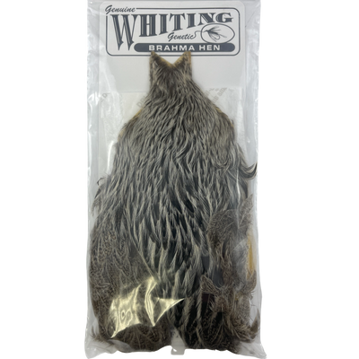 Whiting Brahma Hen Capes
