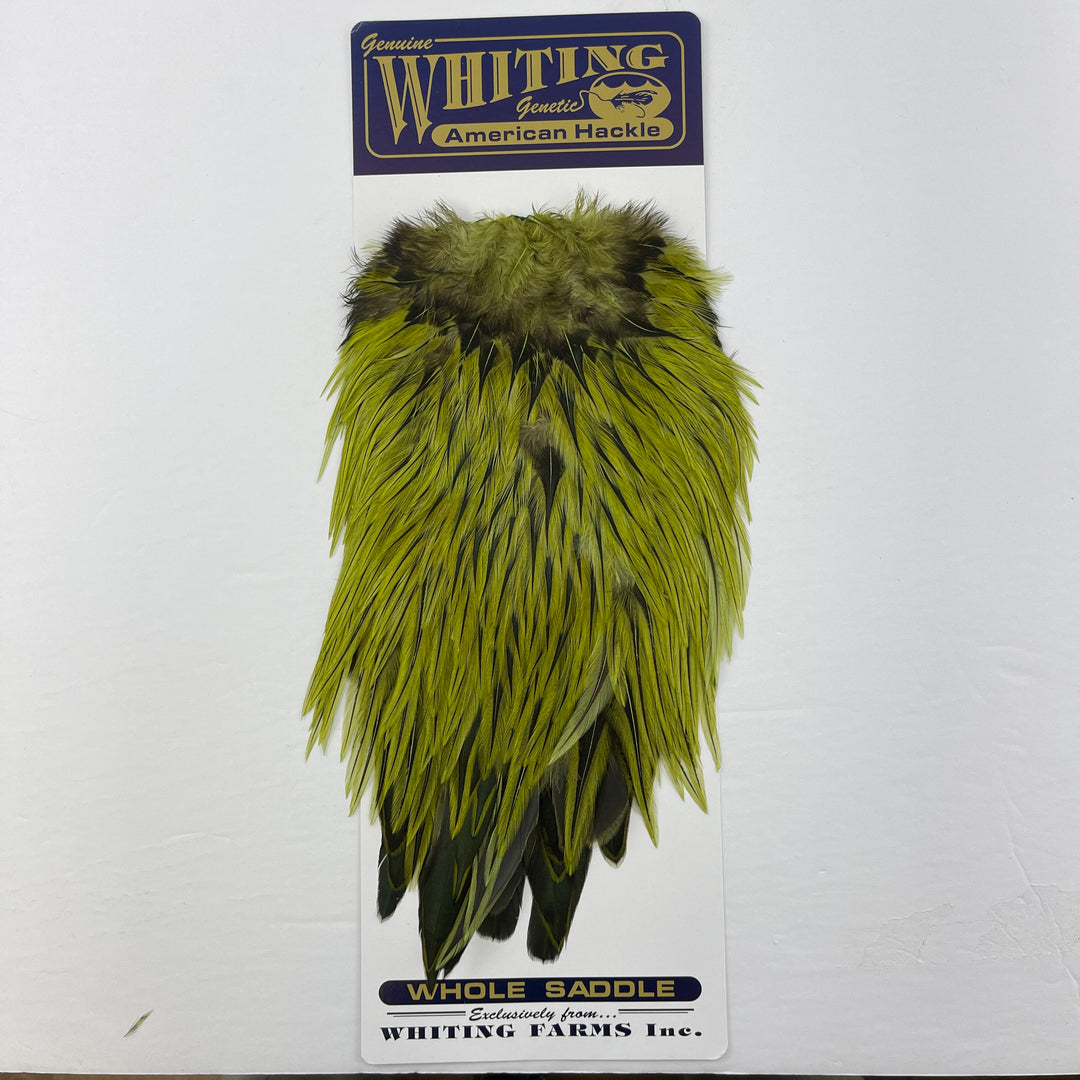 Whiting American Rooster Saddle – Togens Fly Shop