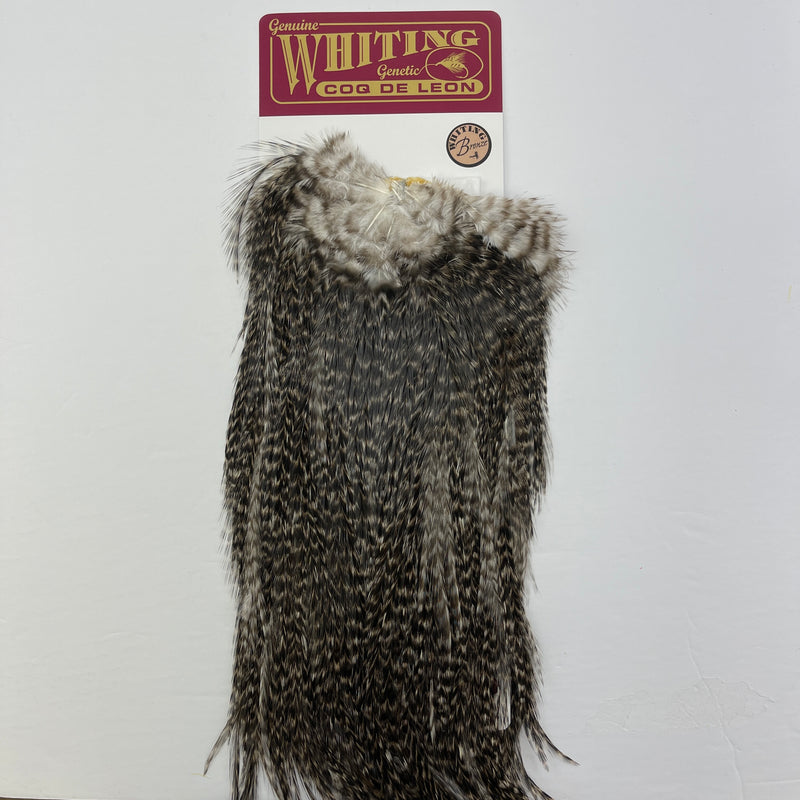 Whiting Coq De Leon Bronze Rooster Saddles