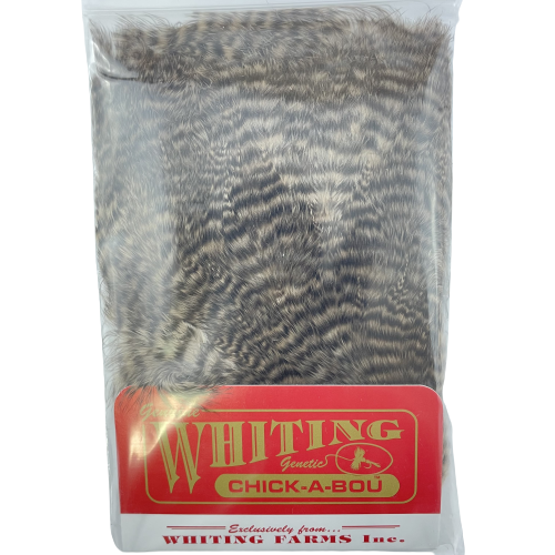 Whiting Chickabou Patch