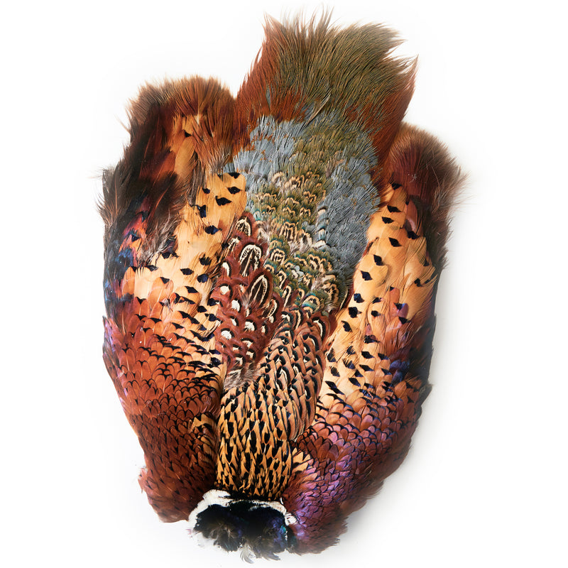 Ringneck Pheasant Whole Skins